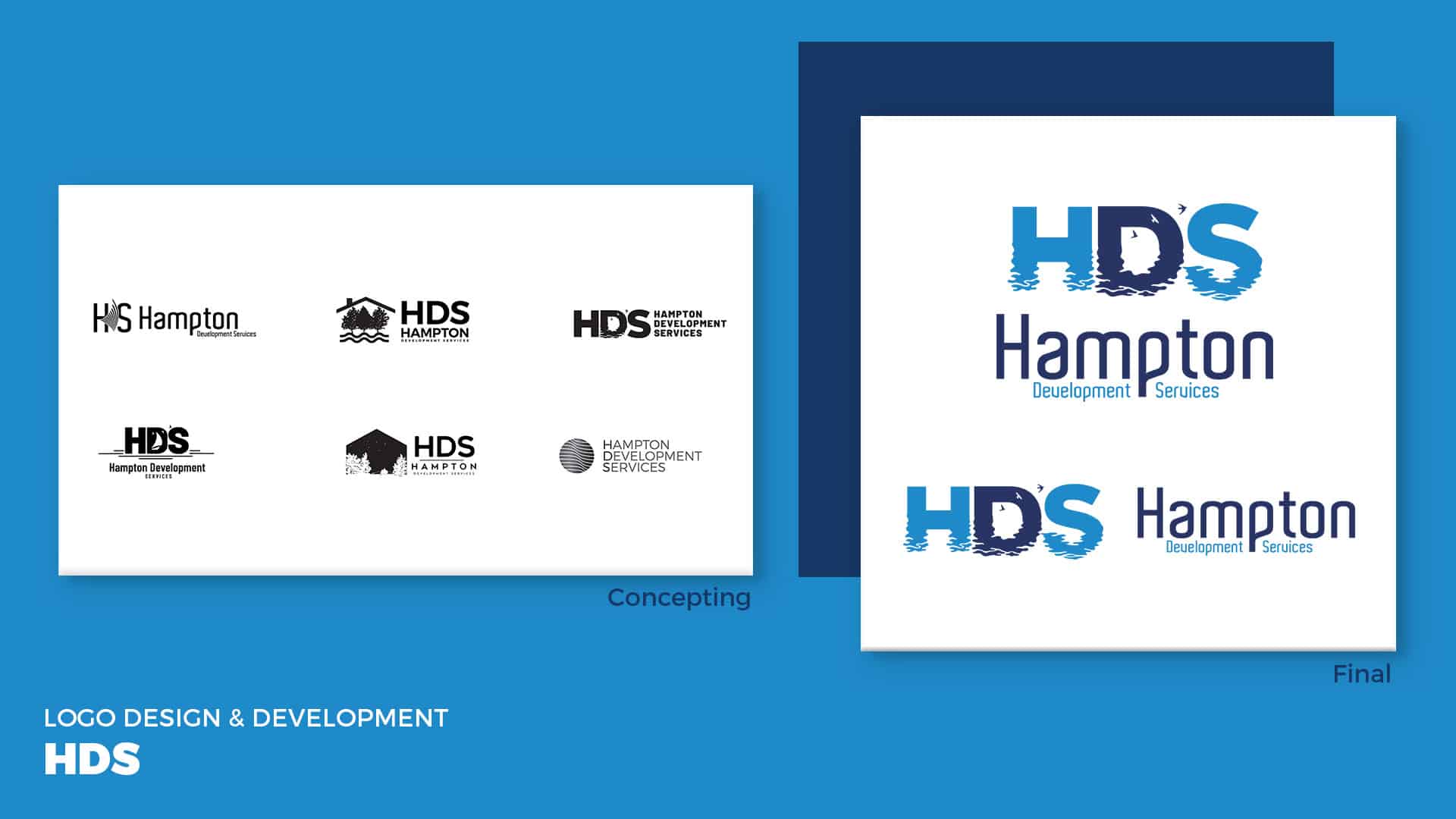 HDS Logo Design