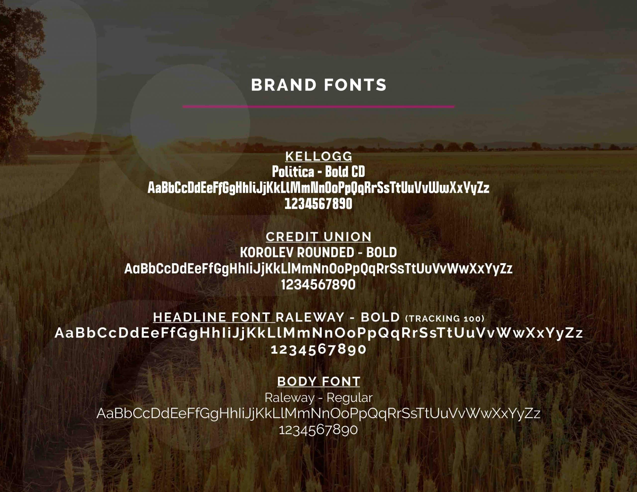 Kellogg Credit Union Brand Guide - Fonts